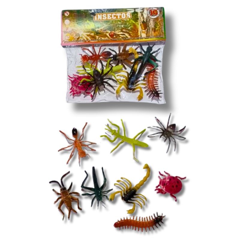 insectos y escarabajos