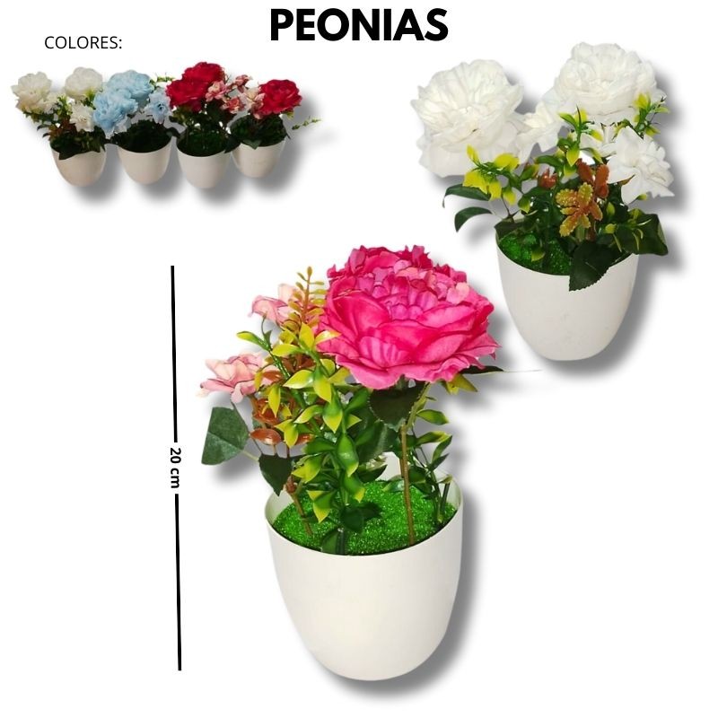 peonias en macetas
