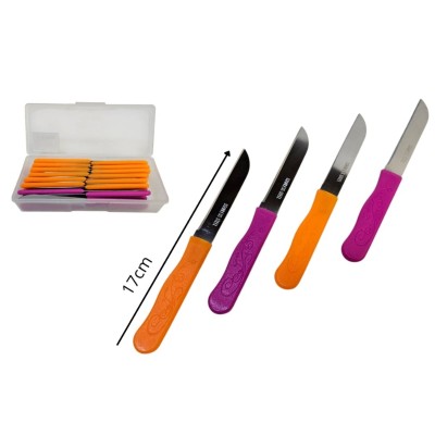 Cuchillo Mini con Estuche (Paquete de 36)